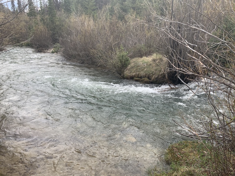 Photo #34 20167_34