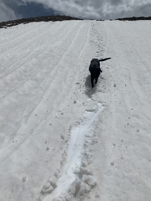Photo #43 20167_43