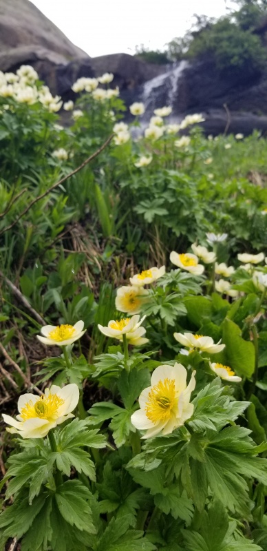 Photo #30 20291_32
