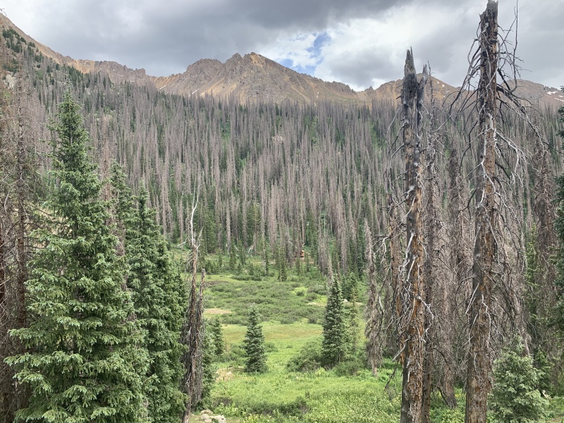 Photo #5 20371_05