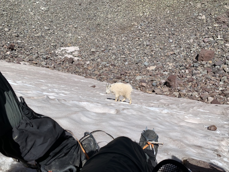 Photo #8 20371_08