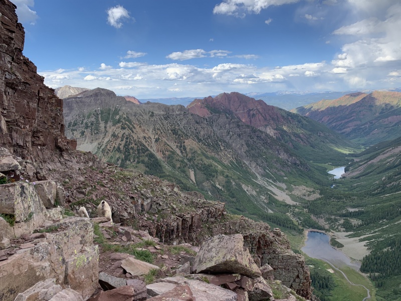 Photo #13 20371_13
