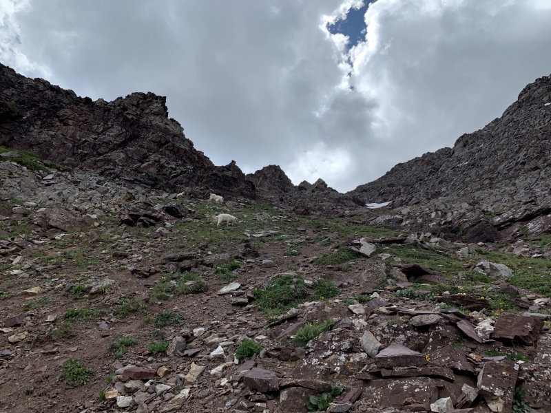 Photo #18 20371_18