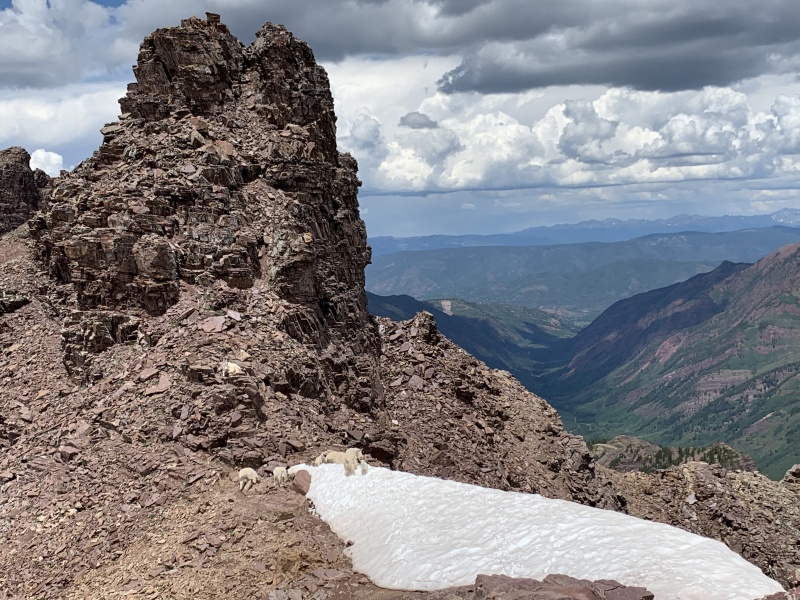 Photo #23 20371_23