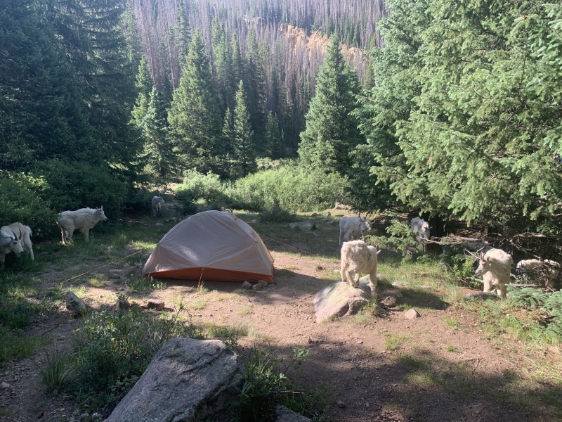 Photo #27 20371_27