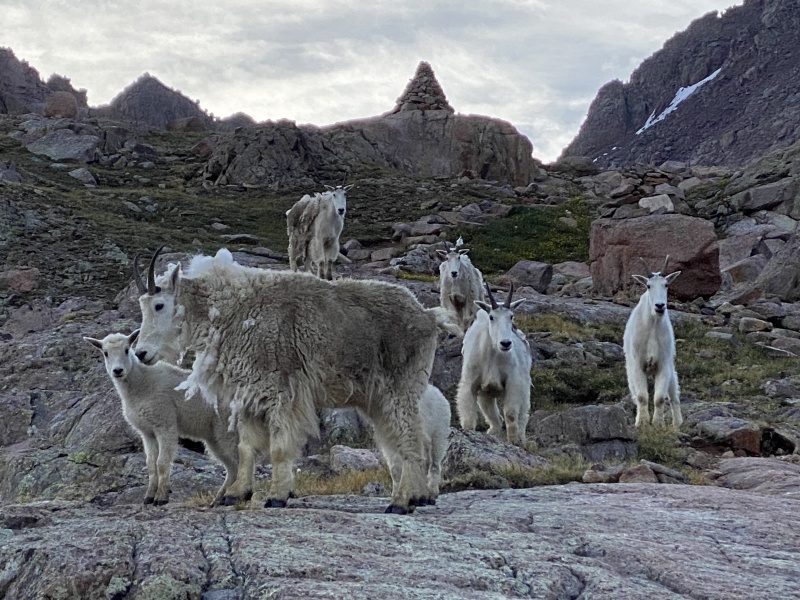 Photo #46 20371_47