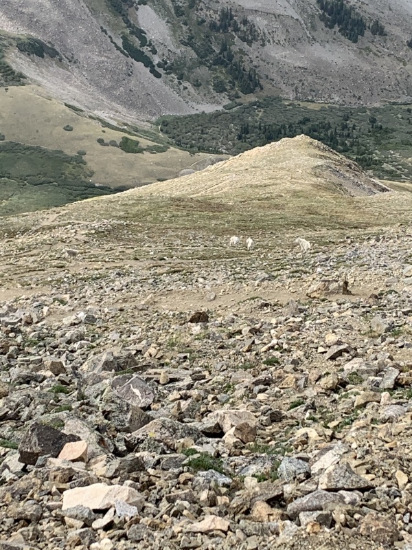 Photo #37 20500_38